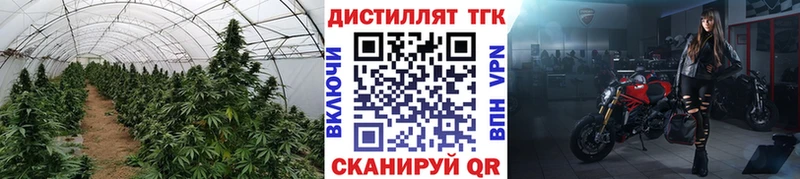 ТГК Wax Уржум